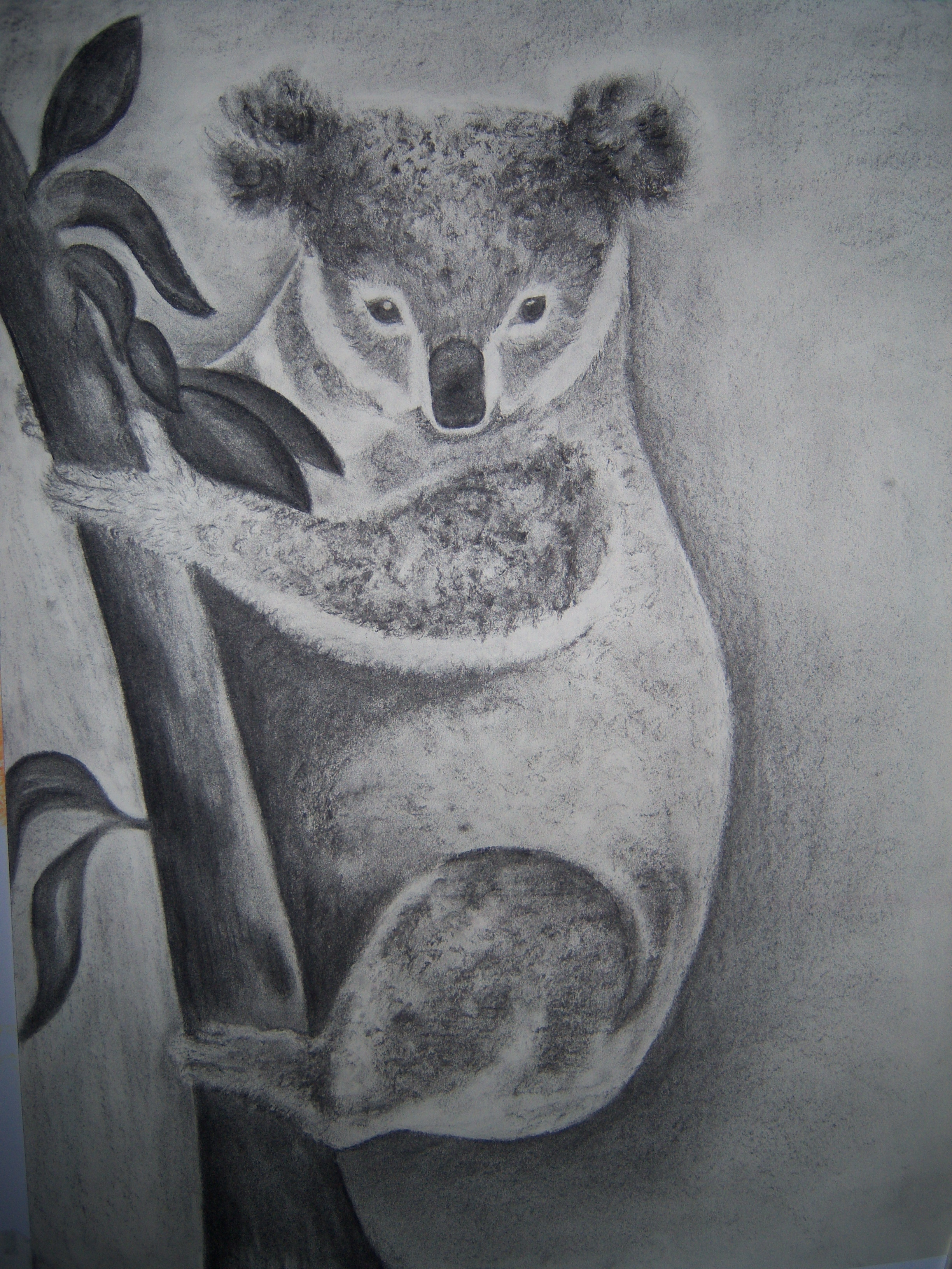 Houtskool tekening koala Kunstzinnige therapie Arto Esti